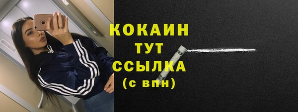 дурь Богородицк