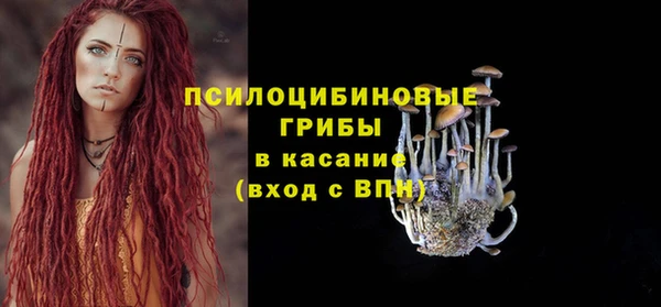 дурь Богородицк