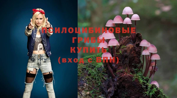 хмурый Богородск